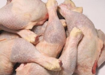 Gov’t to assist 15 farmers, 500 outgrowers to produce 65,000 MT of broilers under PFJ 2.0