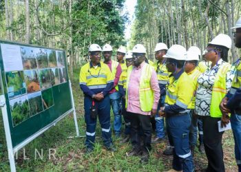 Dep. Lands Minister lauds Newmont Ghana for forest offset restoration project