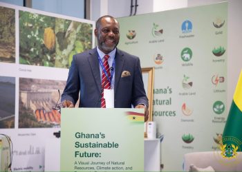 Partner Ghana to undertake projects under our ETF – Energy Minister to Investors at COP28