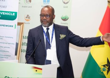 EV Policy will help cut down CO2 Emissions – Energy Minister