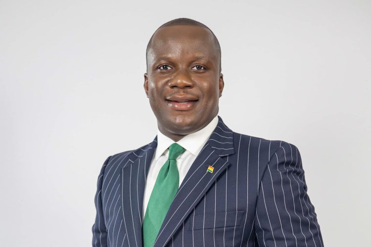 Africa countries need financial backing to accelerate climate change efforts – Lands Minister