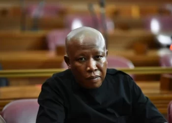 Corruption is a threat to democracy anywhere – Julius Malema