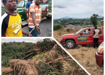 E/R: Tension brews at Asuaba as Okyihene task force destroys farmlands