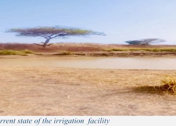 GIDA restores Siniesi Kasa Irrigation Scheme to facilitate production under PFJ 2.0