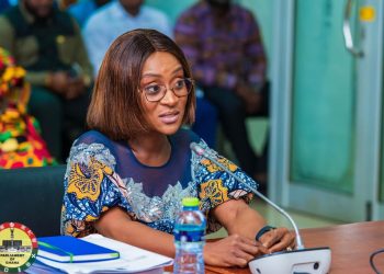 Minister attributes ECG losses to illegal connections