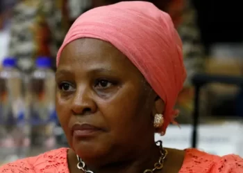 SA speaker of parliament hands herself to police in corruption probe