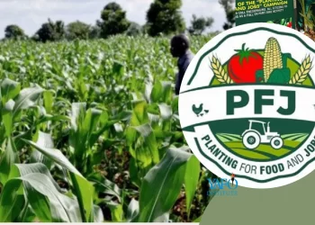 PFJ 2: Tano South Agric Directorate to register 6,000 farmers for the program