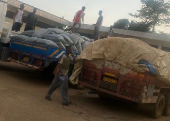 V/R: Immigration Service intercepts 3 trucks of smuggled cocoa beans at Torkor