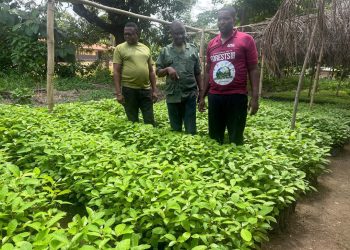 2024 Green Ghana Day preparation underway