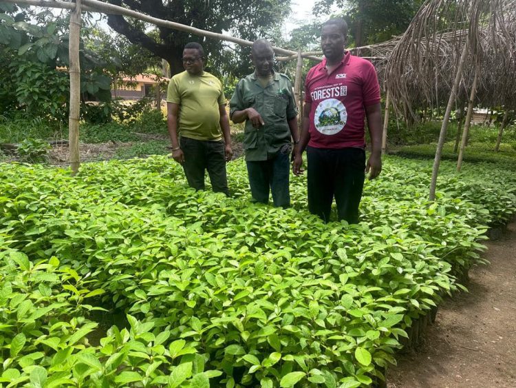 2024 Green Ghana Day preparation underway