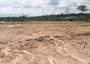 A/R: NAYAK Mining Company reclaims over 20 acres of degraded mining sites