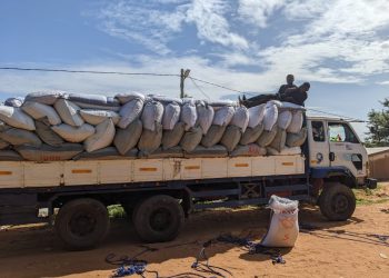 E/R: Anti-cocoa smuggling taskforce arrests 12 persons for attempting to smuggle 400 bags of cocoa beans to Togo