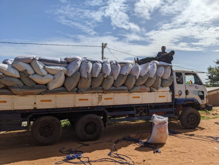 E/R: Anti-cocoa smuggling taskforce arrests 12 persons for attempting to smuggle 400 bags of cocoa beans to Togo