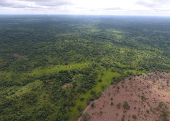 2024 World Environment Day: AstraZeneca commits to tackling climate change and biodiversity loss