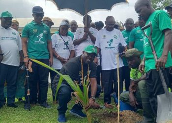 V/R: Togbega Gabusu VII leads his sugjects to plant 30,000 trees