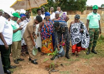 B/R: Public cautioned against indiscriminate cutting down of trees