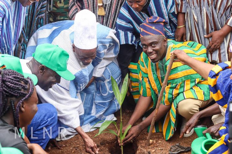 N/R: Dep. Lands Minister joins Ya-Naa Abukari II to plant trees on Green Ghana Day