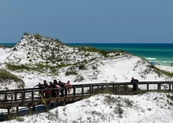 Three swimmers hurt in shark attacks in Florida