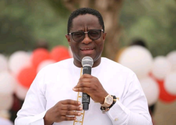 SALL CASE: Court confirms Peter Amewu as Hohoe MP; dismisses petition