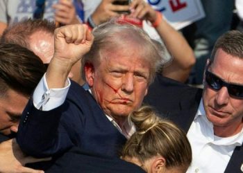 Donald Trump injured in rally assassination attempt