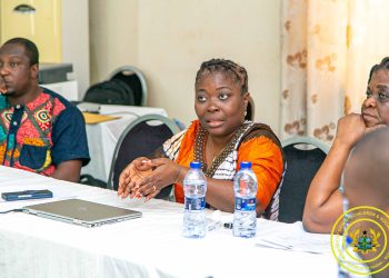 Gender Ministry assesses progress, restructures budget committee