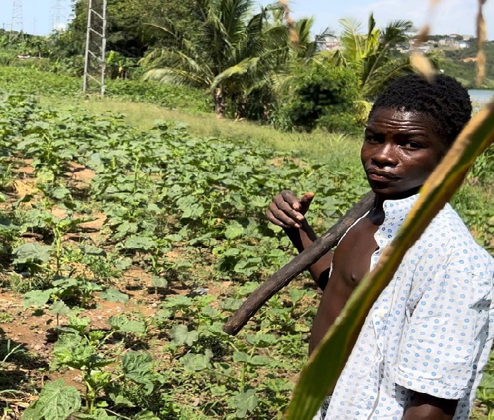 Effect of climate change on Agriculture and Food supply in Ghana