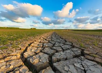 Gov’t warns of looming food inflation crisis as drought ravages crops in Bono East