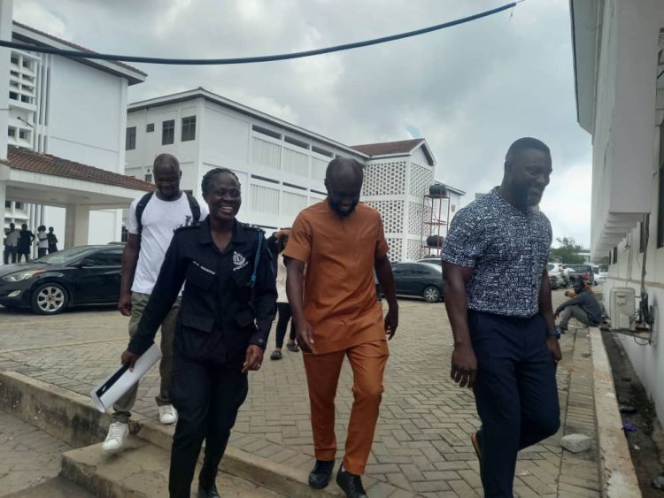 Ohemaa Mercy’s former marketing manager granted bail