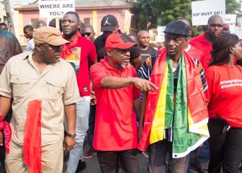 African Electoral Institute commends NDC for peaceful demo