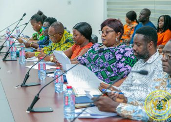 Ministry of Gender begins National Shock Response Strategy Development