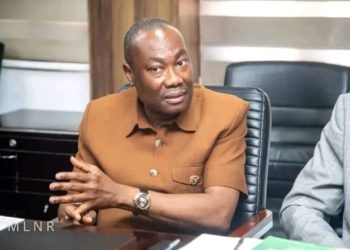 Minerals Commission CEO justifies issuance of new licenses to Small-Scale miners