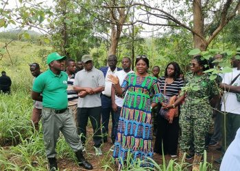 E/R: Minister inspects Ghana landscape restoration projects in Kwahu East & West