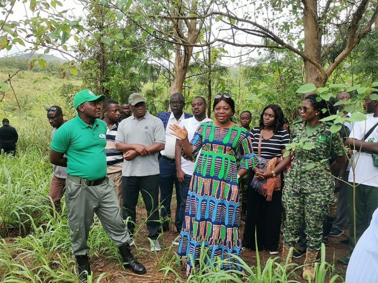 E/R: Minister inspects Ghana landscape restoration projects in Kwahu East & West