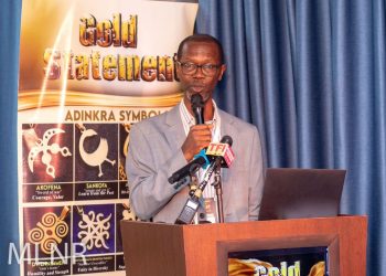 Government alone can’t stop illegal mining – Mining Advisor