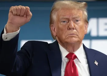 2024 US Elections: Donald Trump wins