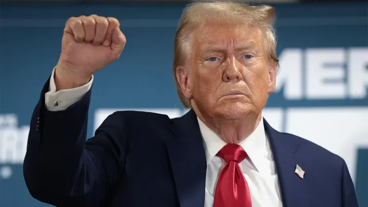 2024 US Elections: Donald Trump wins