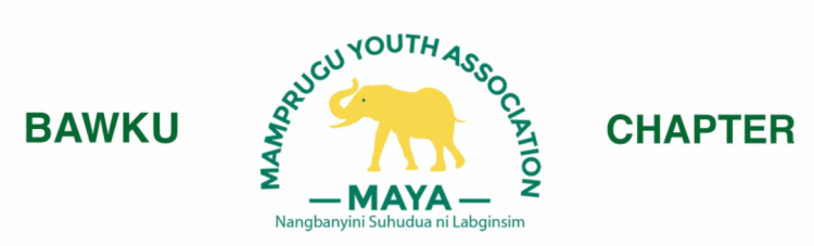 Mamprugu Youth respond to Kusaug Congress claims on Bawku conflict