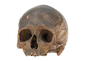 Grave digger, mason jailed for selling human skull