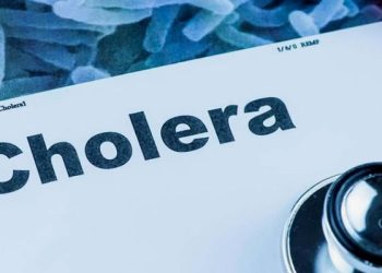 Cholera cases rise to 789 as STMA enforces ban on processed vegetable sales