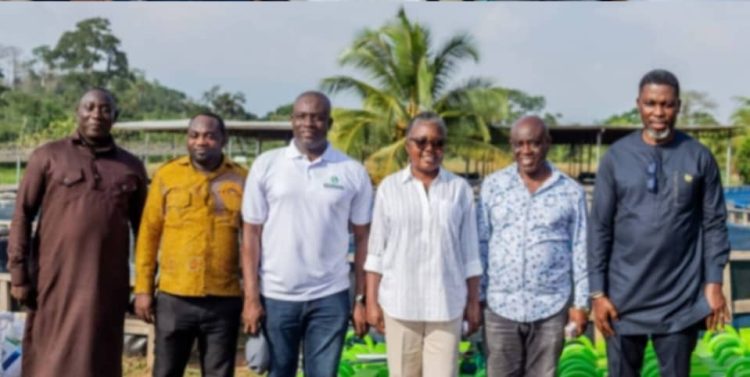 Developments in aquaculture to provide more opportunities, jobs for youth – Fisheries Minister