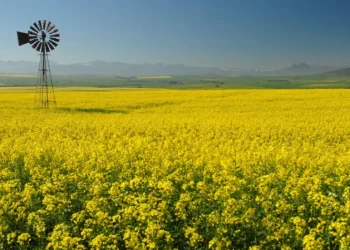 South Africa law at centre of Trump row challenged in court