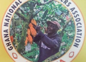 Over 7000,000 Cocoa farmers accuses govt of discrimination