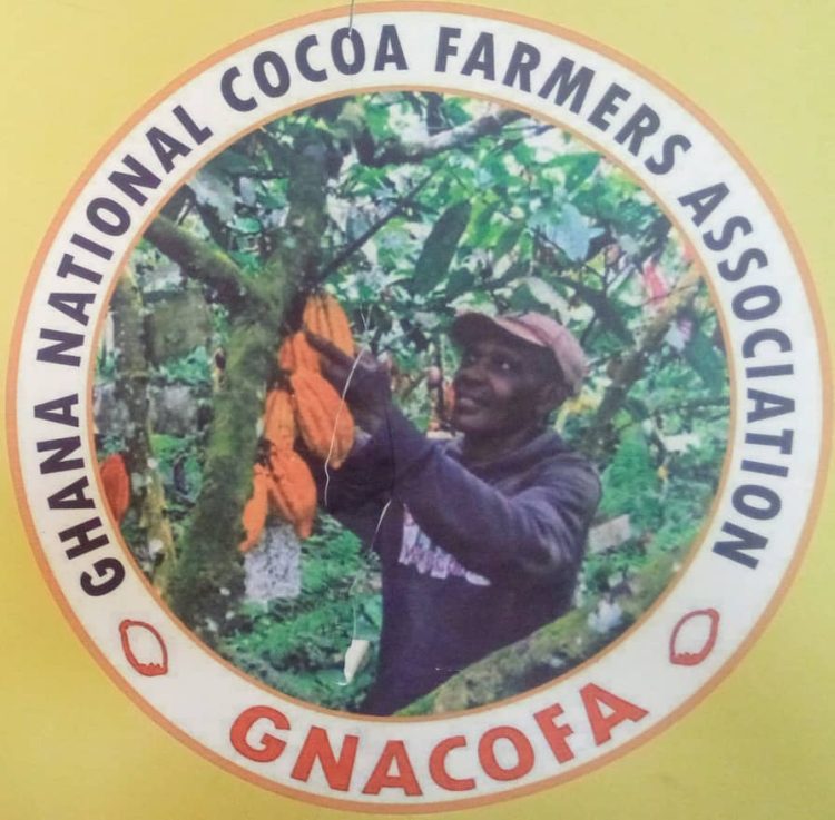 Over 7000,000 Cocoa farmers accuses govt of discrimination