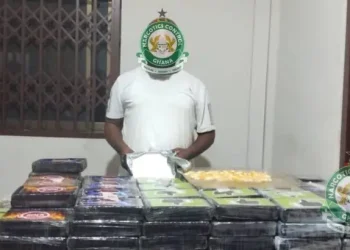 Court orders expedited investigation in $2.1m drug case involving Nigerian National