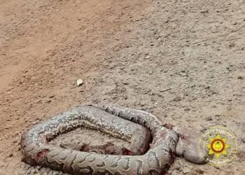 C/R: Fire personnel escape snake attack while fighting fire in Mankessim