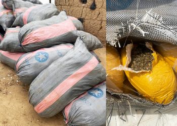 V/R: NIB intercepts 3,680 slabs of cannabis in Zadolakope