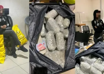 NACOC arrest another British with 17kg cannabis in major drug crackdown at KIA