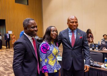 Health Minister leads delegation to secure AMA Director – General appointment for FDA boss