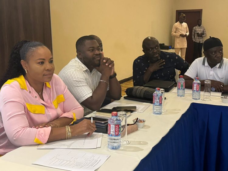 GCMC presents 2025 work plan to Parliamentary Committee on Energy