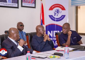 NPP proceeds with constitutional reform, Proposals awaits National Council final review approval
